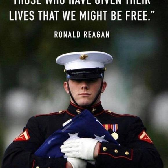 Meet your Posher, Kalli - Picture 1 of 1